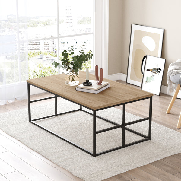 Soffbord Velendi 100x60x40 cm Eklook/Svart [en.casa]
