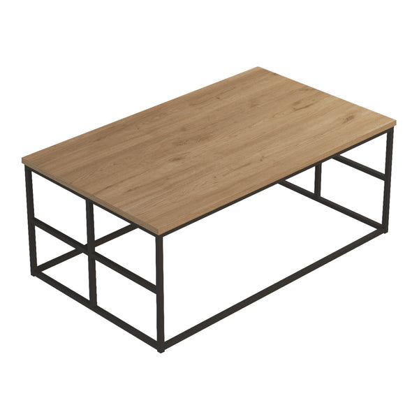 Soffbord Velendi 100x60x40 cm Eklook/Svart [en.casa]