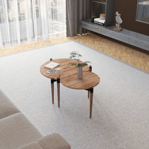 Soffbord Kristinestad med 2 bordsskivor natur [en.casa]