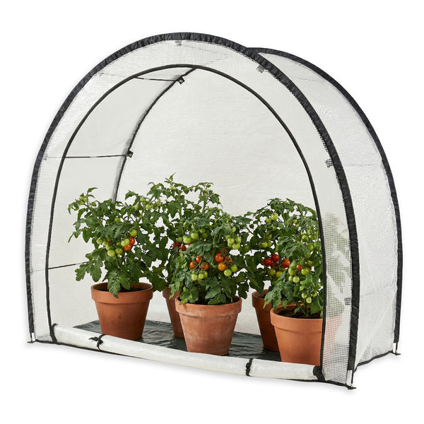 Tomatväxthus av folie Larshasas 180x80x170 cm Transparent [en.casa]