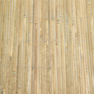 Bambustaket Baarle bambu [casa.pro] välj modell