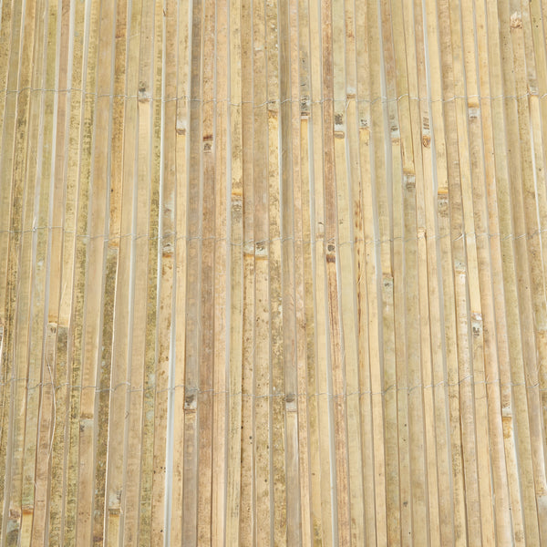 Bambustaket Baarle bambu [casa.pro] välj modell