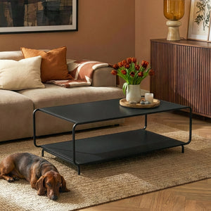 Soffbord Færder 115x50x45 cm Stål Svart [en.casa]