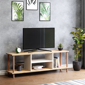 TV-bord Ærøskøbing med 2 hyllfack 43x120x29 cm olika färger [en.casa] - premiumXL