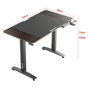 Höj och sänkbart skrivbord Visalia 110x60x73/118 cm [pro.tec] välj modell