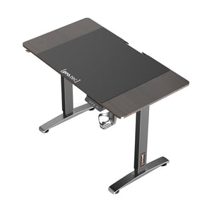 Höj och sänkbart skrivbord Visalia 110x60x73/118 cm [pro.tec] välj modell