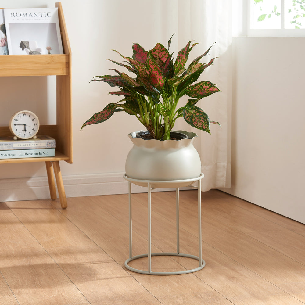 Blomsterställ Assen [en.casa] - premiumXL