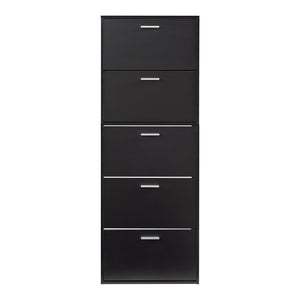 Skoskåp 63x24x81cm 2 fack plats för 12 par skor [en.casa] välj modell