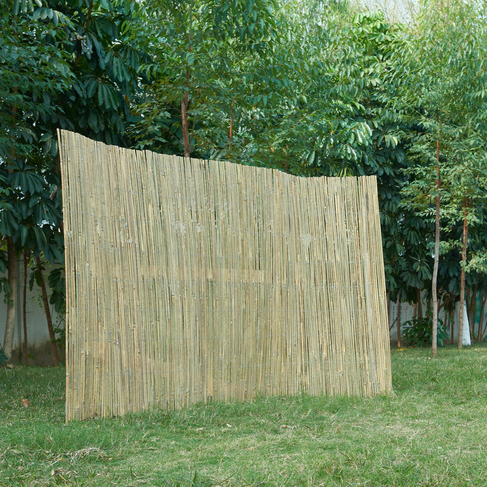 Bambusstaket Baarle Natur i olika storlekar [casa.pro] - premiumXL